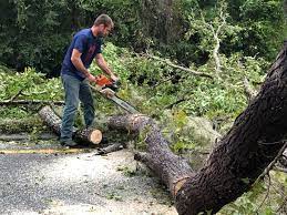 Best Utility Line Clearance  in Rio Dell, CA